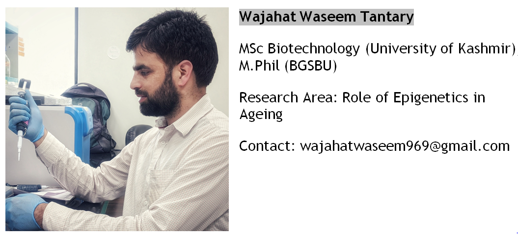 Wajahat Waseem Tantary